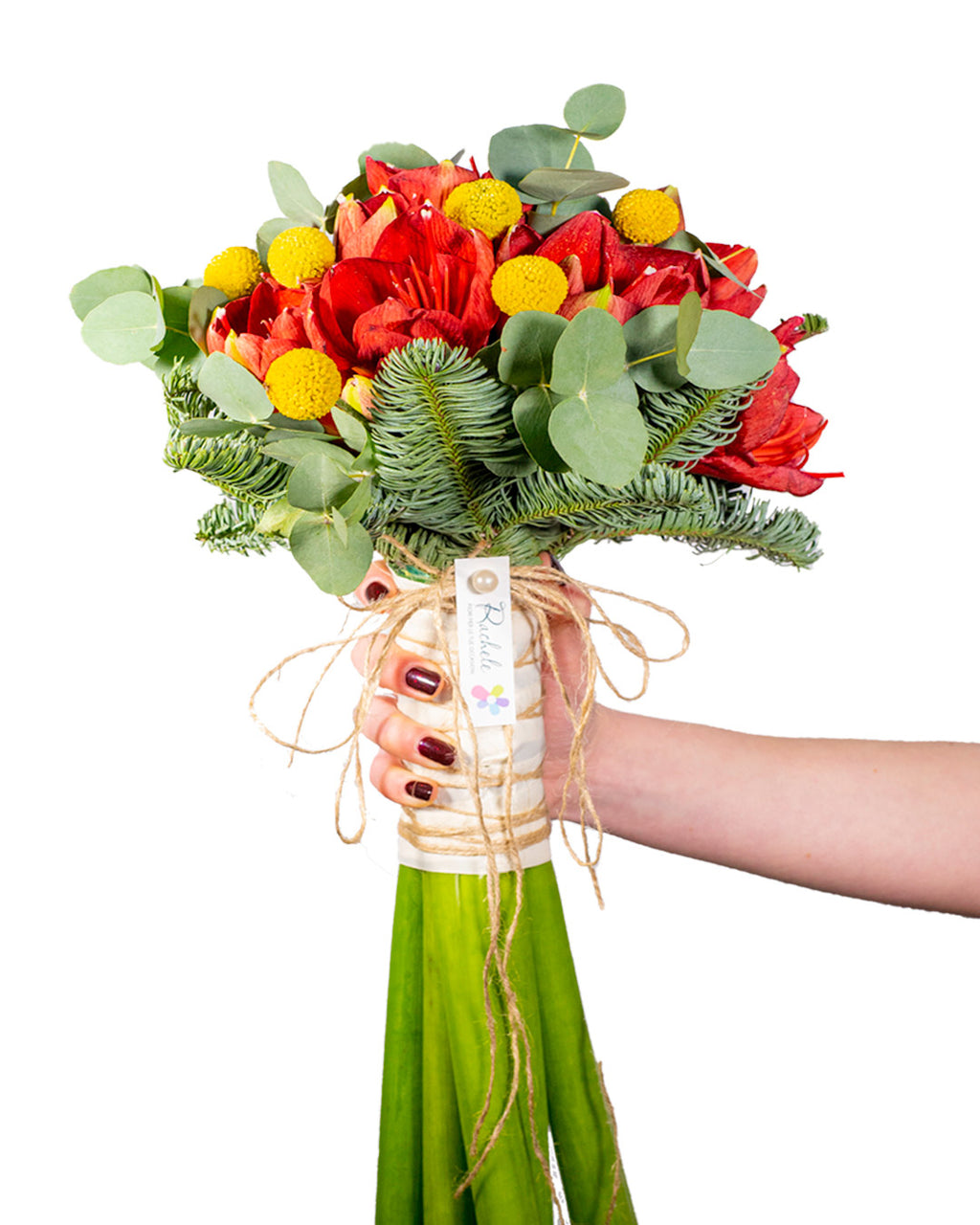 Bouquet di amaryllis che, nel linguaggio dei fiori, simboleggiano l'eleganza, la fierezza e la bellezza splendente, uniti alla timidezza. Bouquet realizzato con:  -	Felce  -	Eucalipto  -	Crasspedia  -	Amaryllis  L’immagine corrisponde alla misura media.